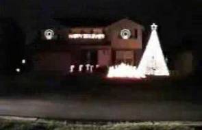 Carson Williams Christmas Lights