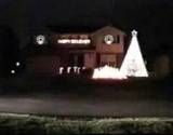 Carson Williams Christmas Lights