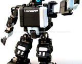 i-SOBOT